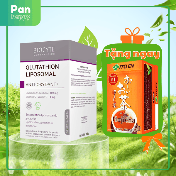 biocyte glutathion Biocyte Liposomal Glutathione 90V
