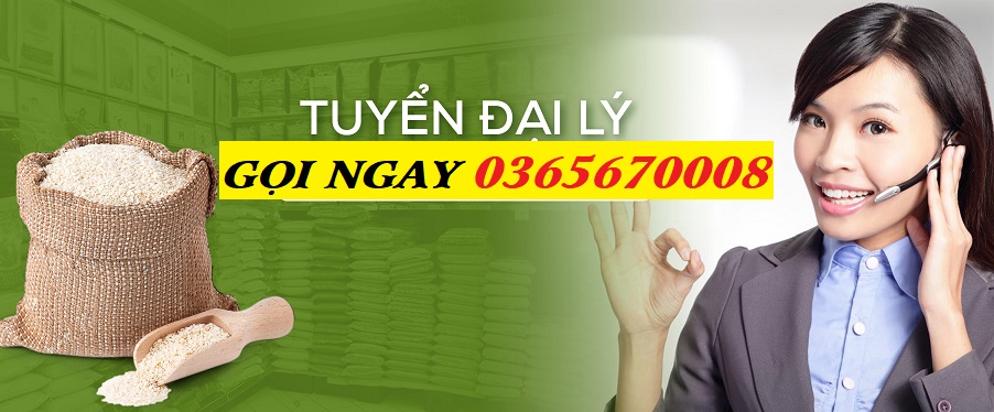 HỆ THỐNG ĐẠI LÝ KHU VỰC TPHCM