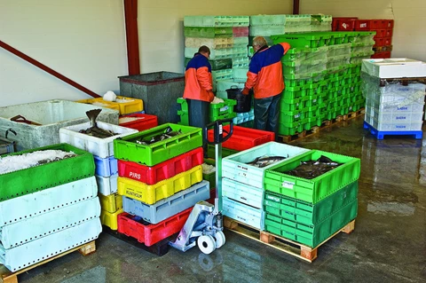 Xe nâng tay bằng thép không gỉ Toyota BT Lifter Stainless