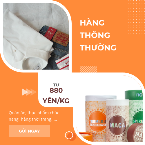 V/c Hàng thông thường (Nhật - Việt) (Từ ngày 19/6 không sử dụng mã này)