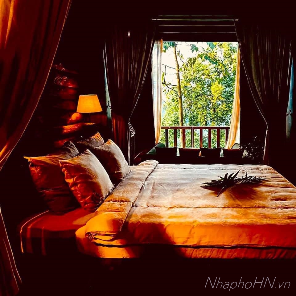 Phòng ngủ view cây xanh bao quanh nhà