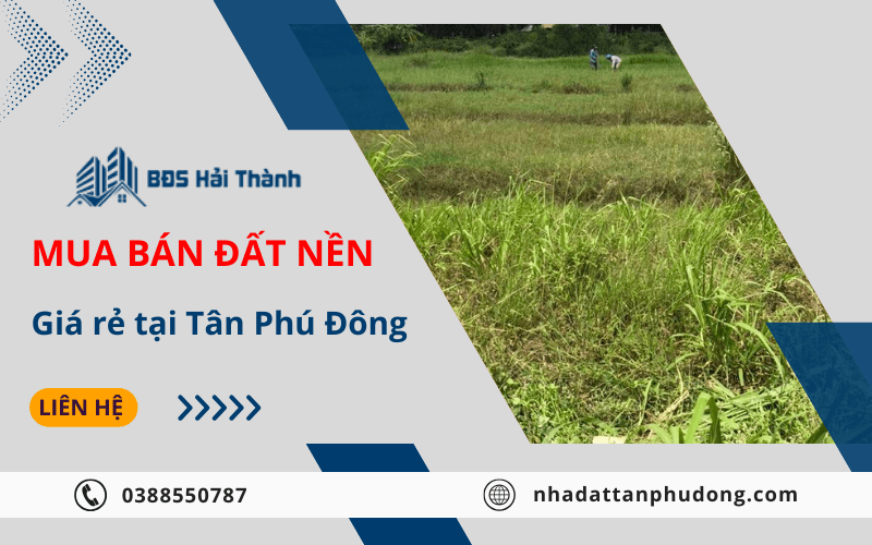 đất nền