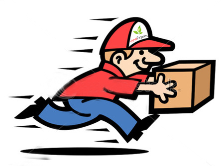 Giao hàng siêu nhanh