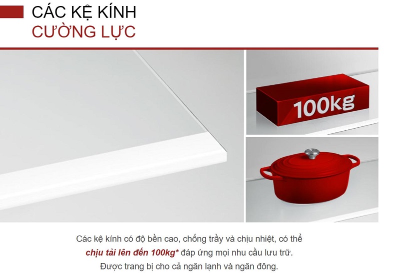 Kệ kính cường lực - Tủ lạnh Hitachi 2 cánh ngăn đông trên Inverter 374 lít HRTN6408SGBKVN - Mới 2025 New