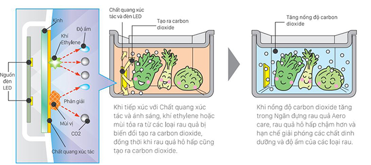 ngăn rau quả thông minh aero care tủ lạnh Hitachi