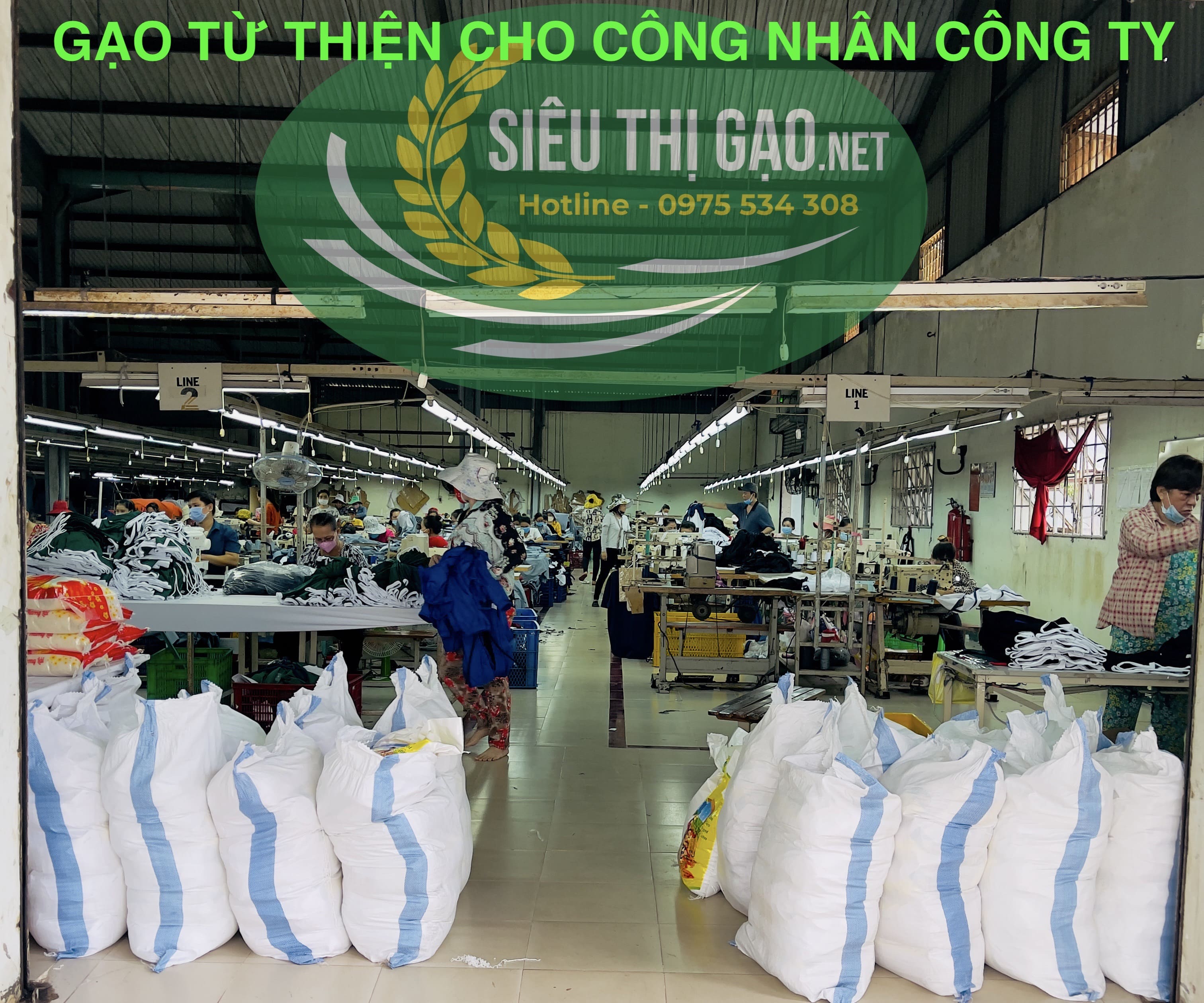 TÌNH HÌNH XUẤT KHẨU GẠO TRONG NƯỚC TIẾP TỤC TĂNG VÀ GIÁ XUẤT KHẨU CŨNG TĂNG MẠNH