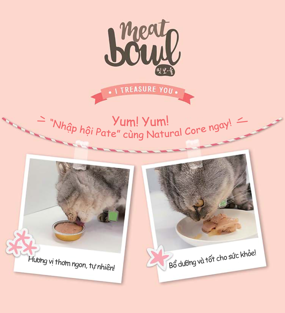 Pate gà và cá hồi cho mèo