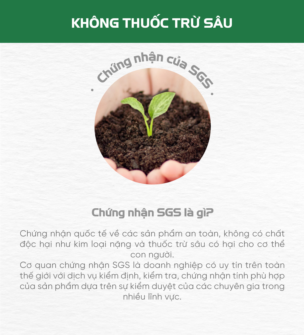 Cá tuyết và bí ngô sấy