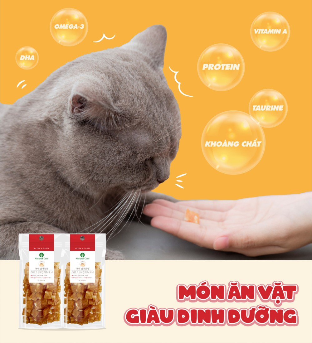 Thịt gà & Phô mai cho mèo