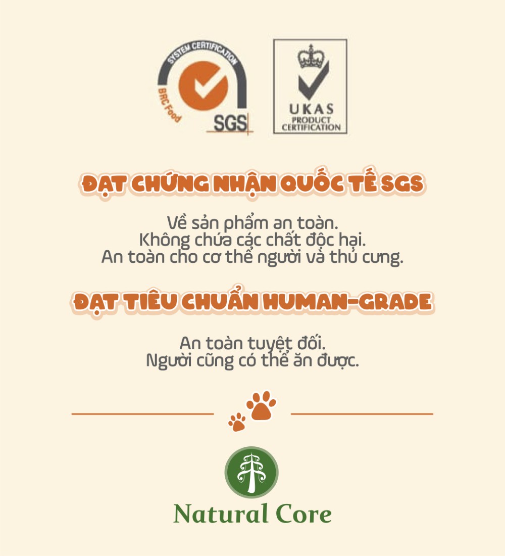 Thịt gà & Phô mai cho mèo