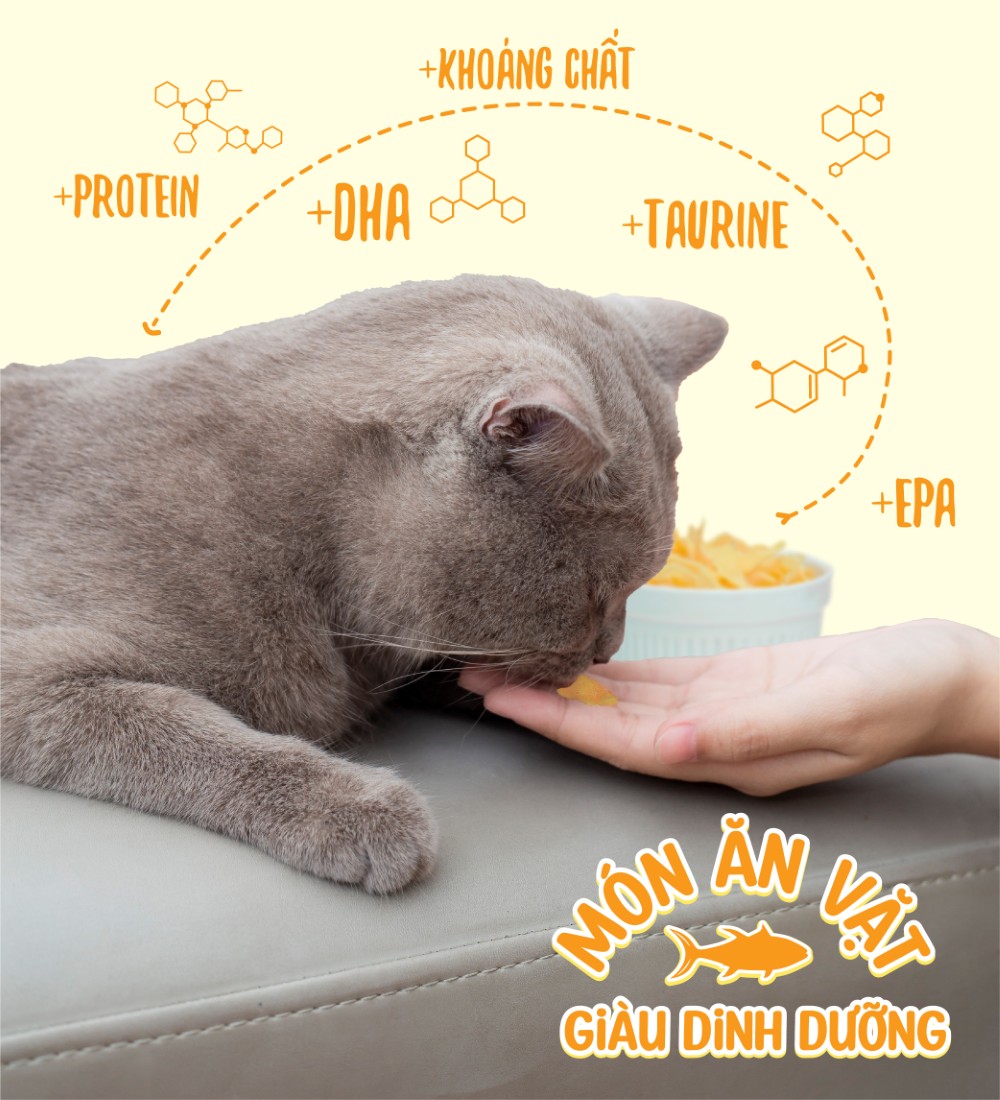 Cá ngừ sấy cho mèo