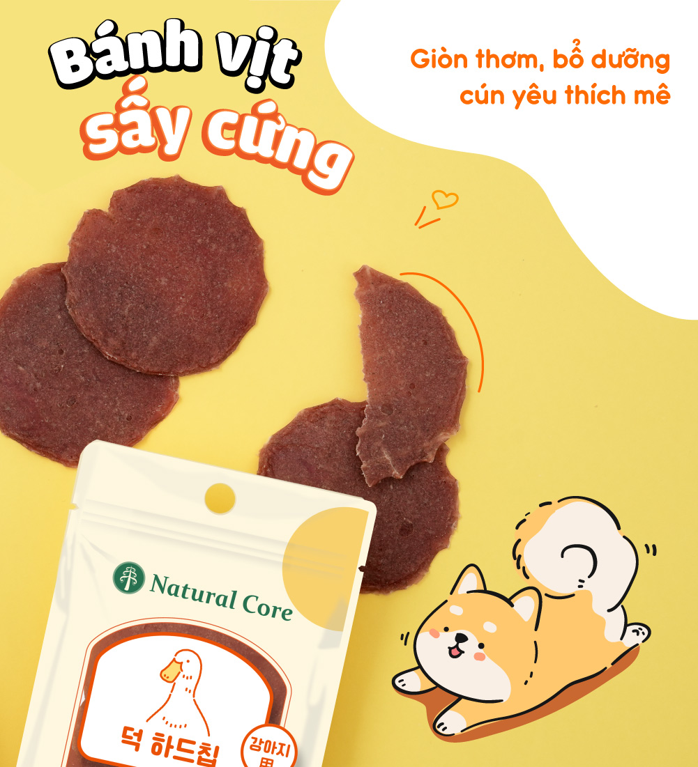 Bánh sấy cứng