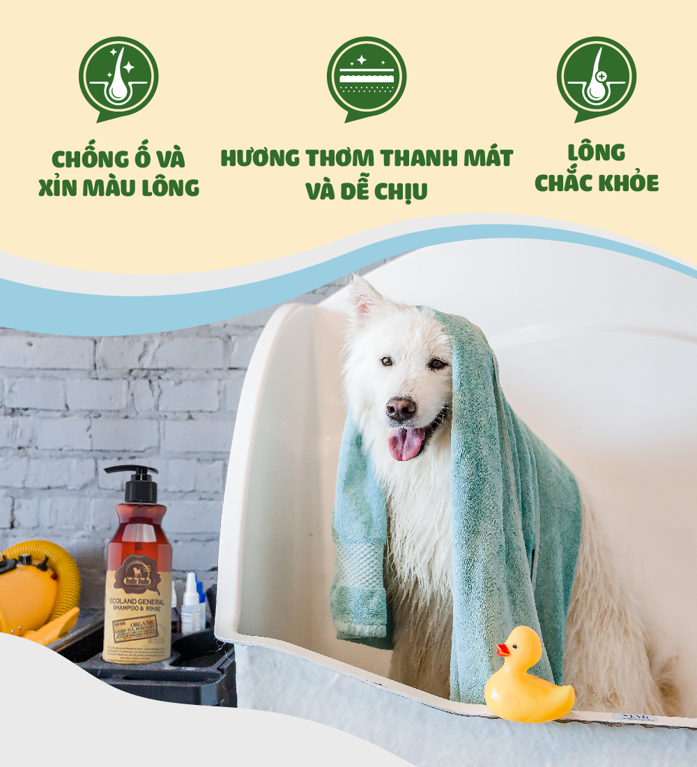 Dầu gội và xả chó lông trắng Budle'Budle