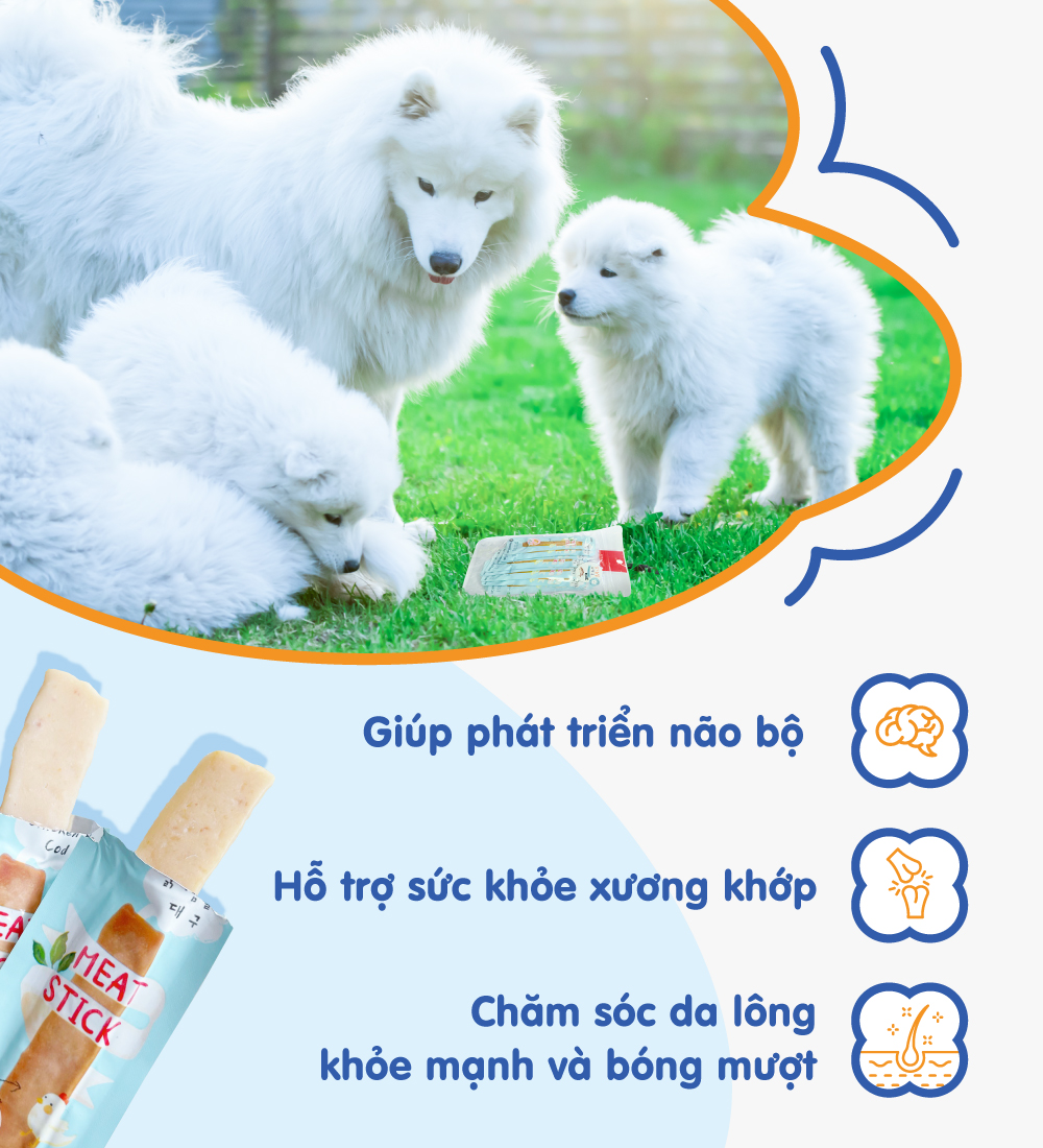 Gà hấp cá tuyết