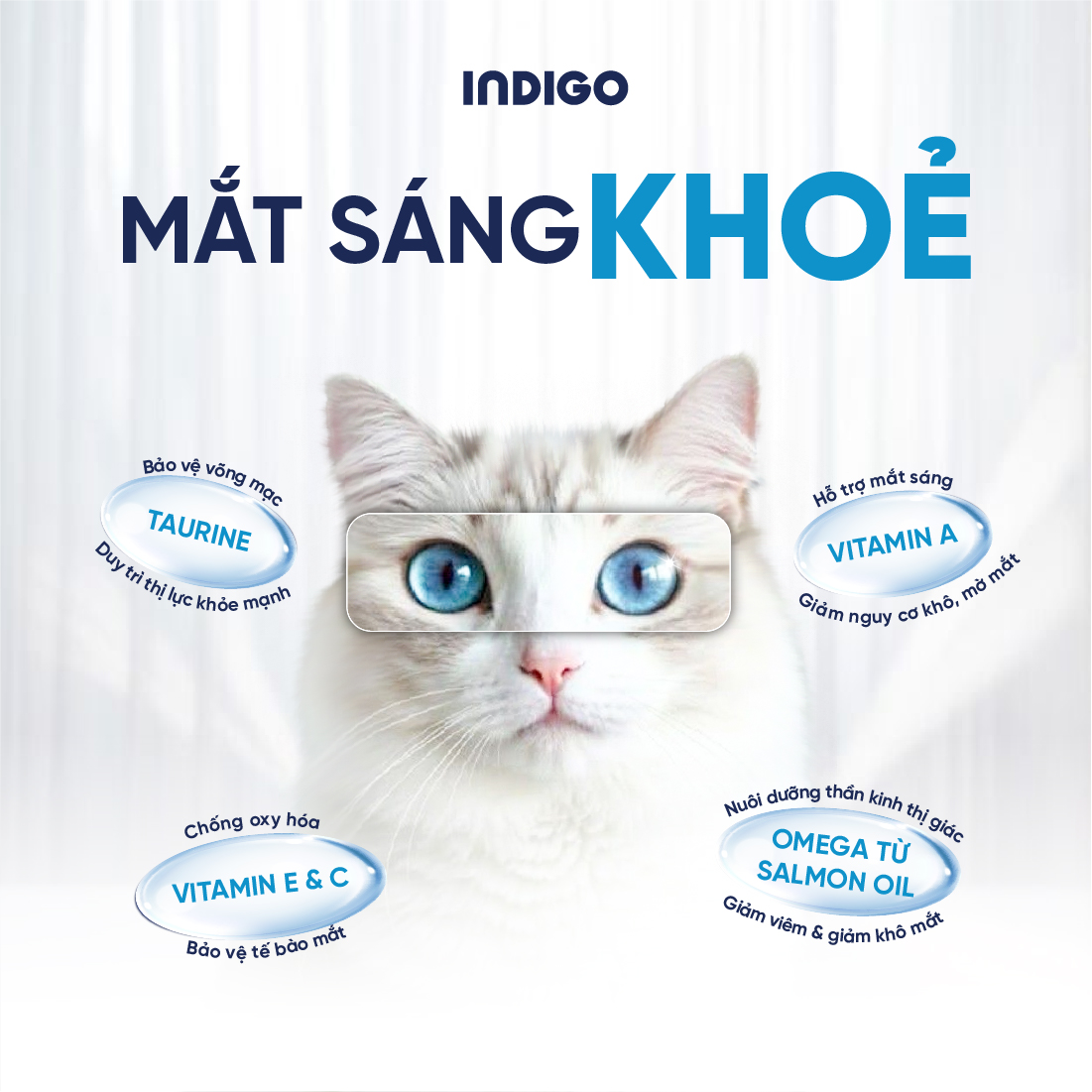 Thức ăn dinh dưỡng chức năng cho mèo kiểm soát búi lông và tăng cường sức khỏe tiêu hóa