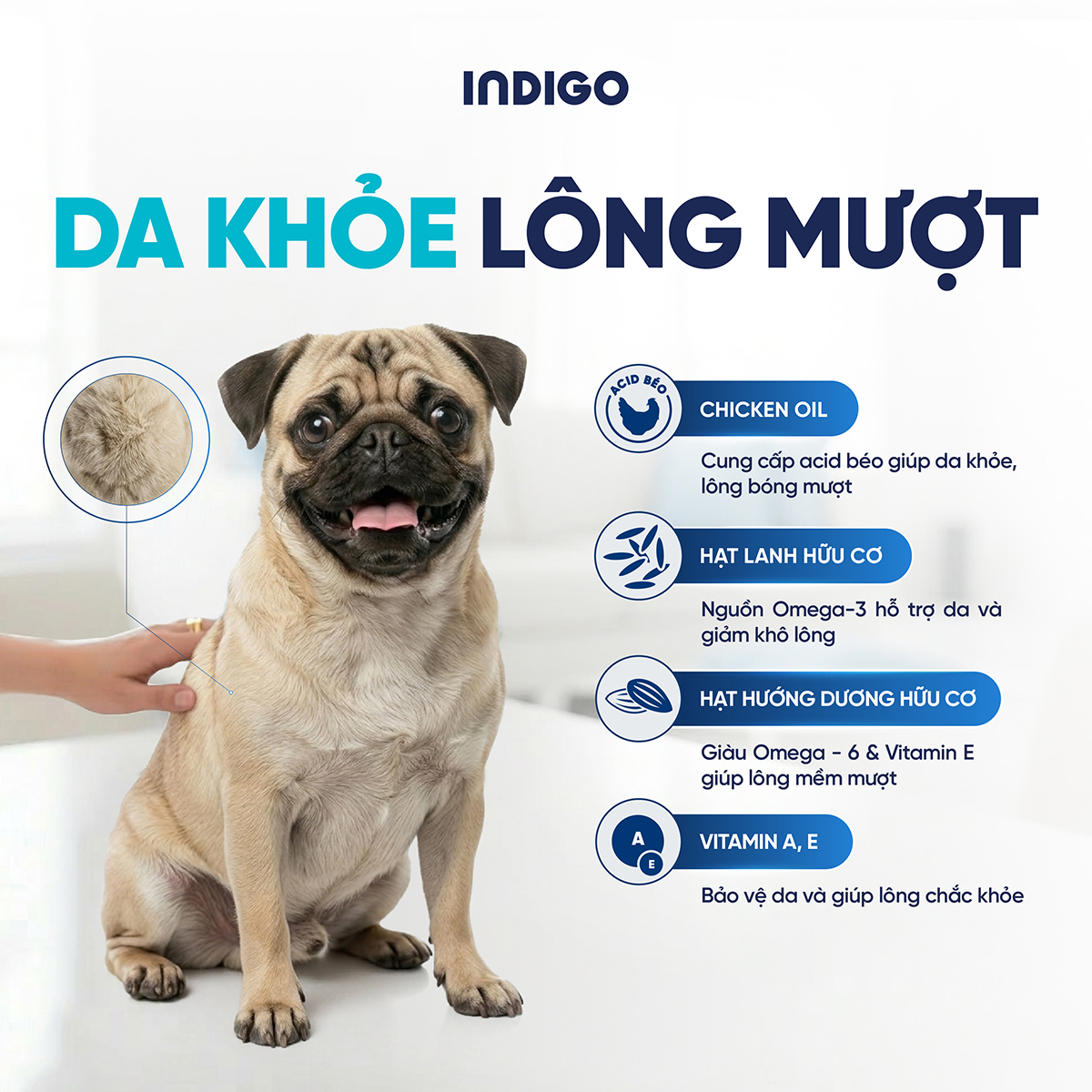 Thức ăn dinh dưỡng chức năng cho chó kiểm soát cân nặng và tăng cường sức khỏe tiêu hóa