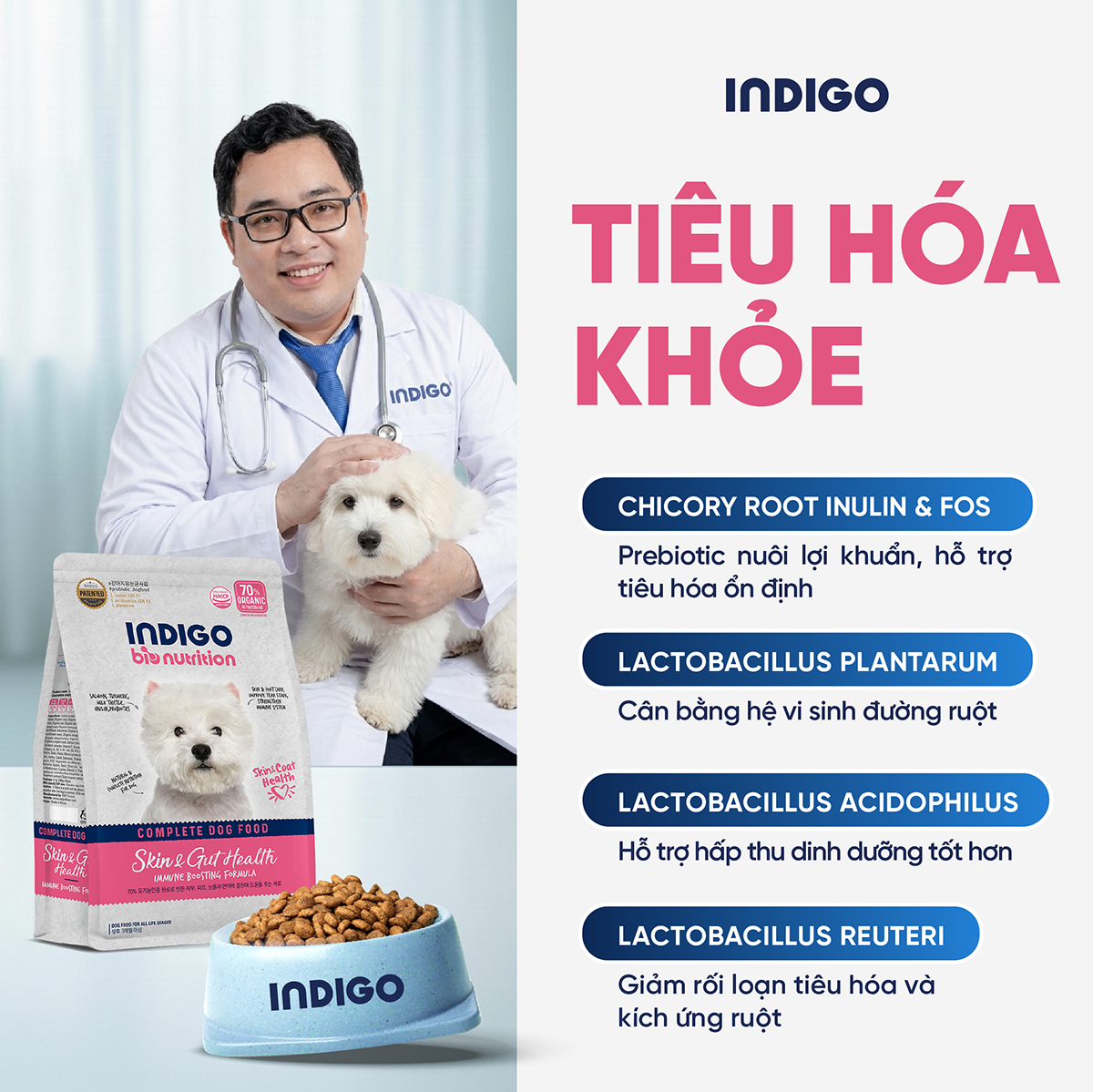 Thức ăn dinh dưỡng chức năng cho chó tăng cường sức khỏe da và tiêu hóa