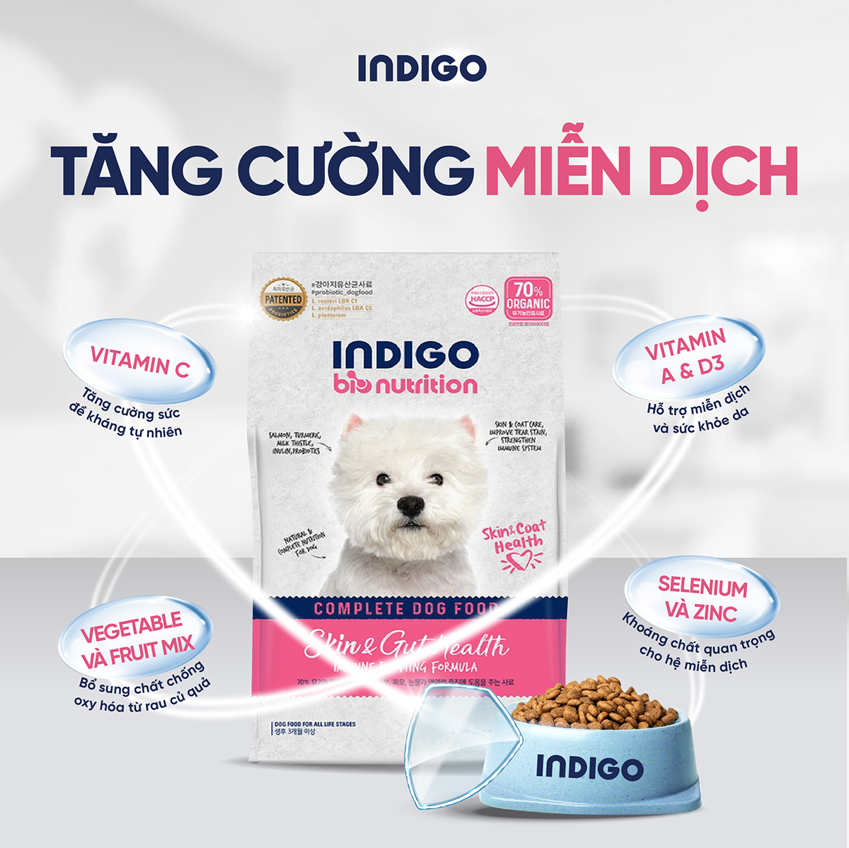 Thức ăn dinh dưỡng chức năng cho chó tăng cường sức khỏe da và tiêu hóa