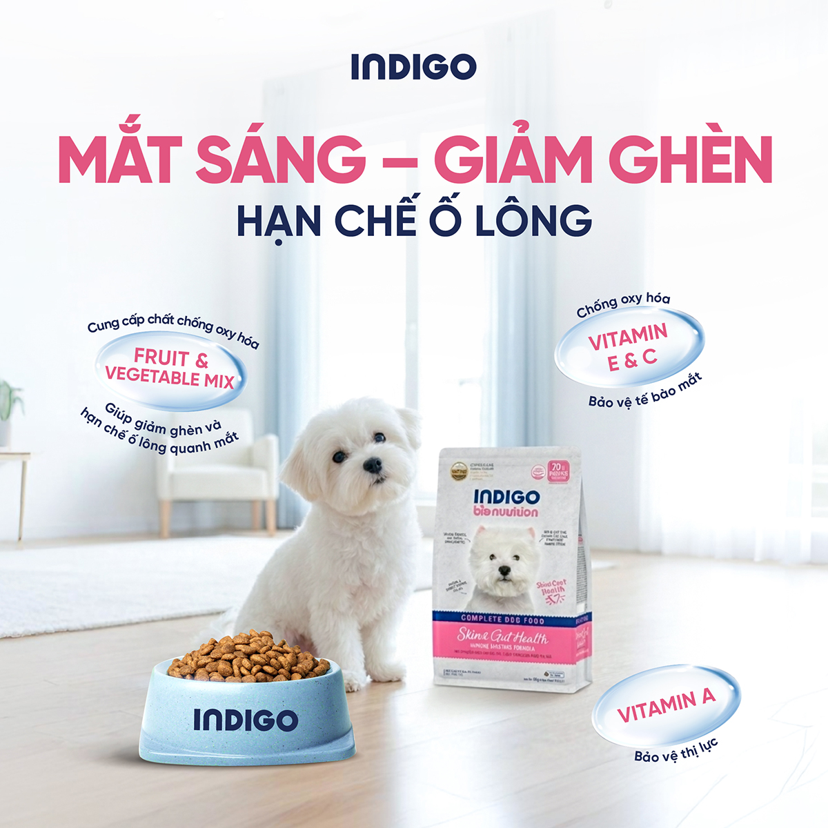 Thức ăn dinh dưỡng chức năng cho chó tăng cường sức khỏe da và tiêu hóa