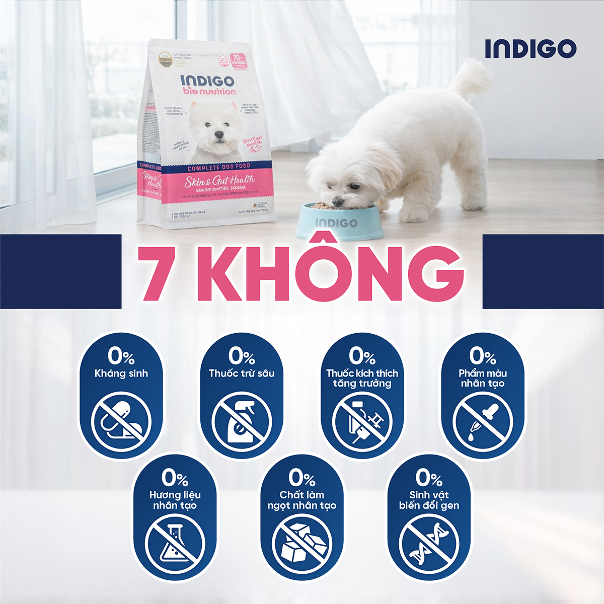 Thức ăn dinh dưỡng chức năng cho chó tăng cường sức khỏe da và tiêu hóa