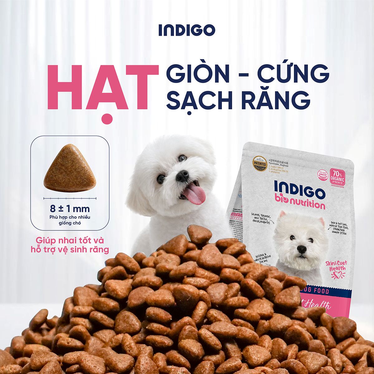 Thức ăn dinh dưỡng chức năng cho chó tăng cường sức khỏe da và tiêu hóa