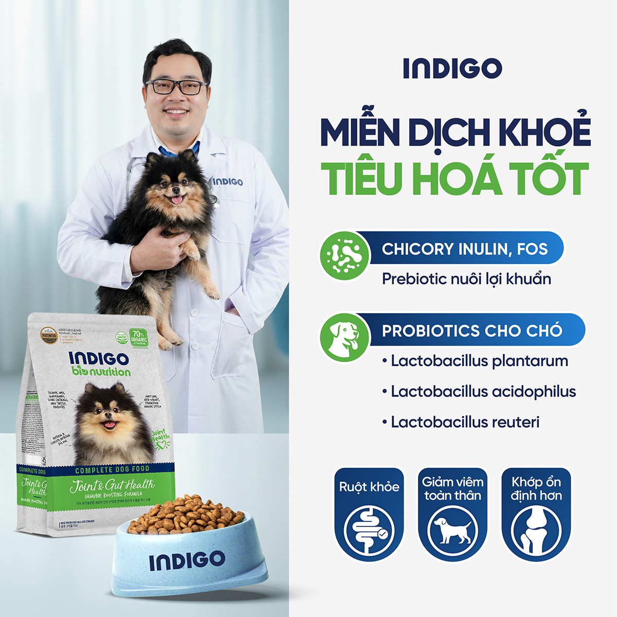 Thức ăn dinh dưỡng chức năng cho chó tăng cường sức khỏe khớp và tiêu hóa