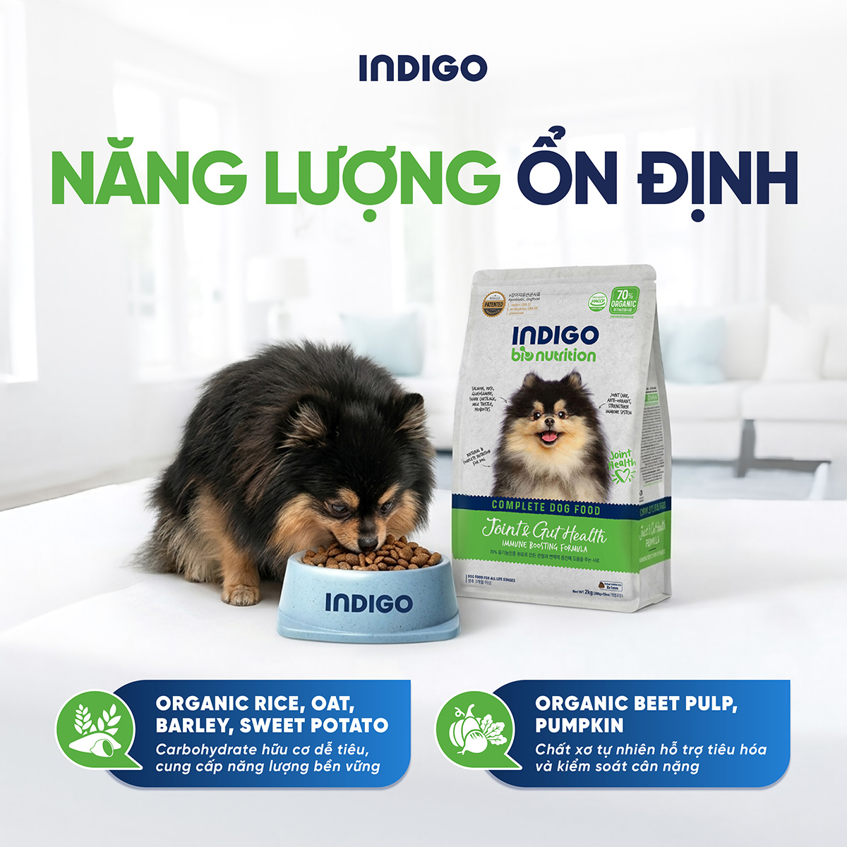 Thức ăn dinh dưỡng chức năng cho chó tăng cường sức khỏe khớp và tiêu hóa