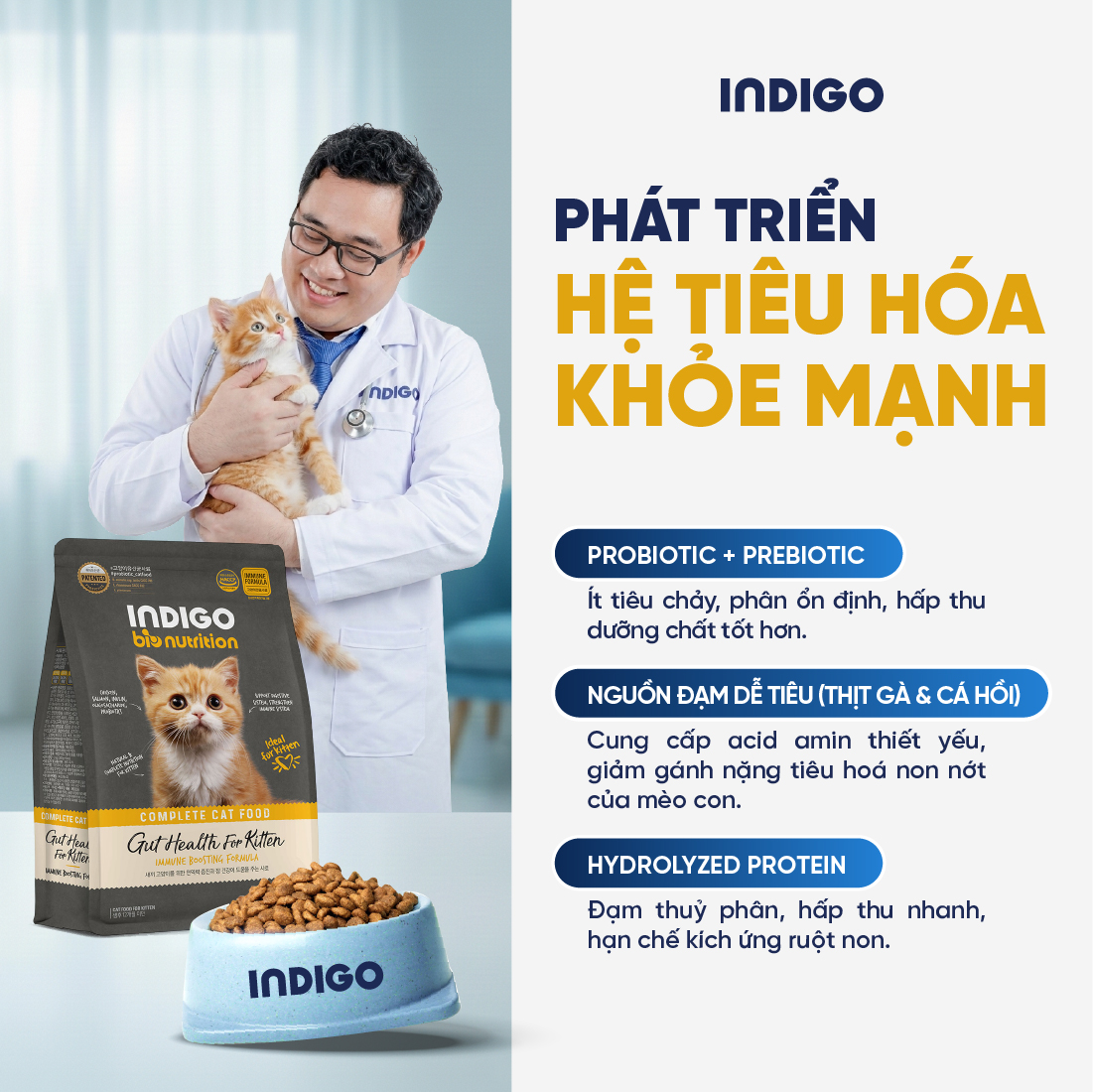 Thức ăn dinh dưỡng chức năng cho mèo con tăng cường sức khỏe tiêu hóa