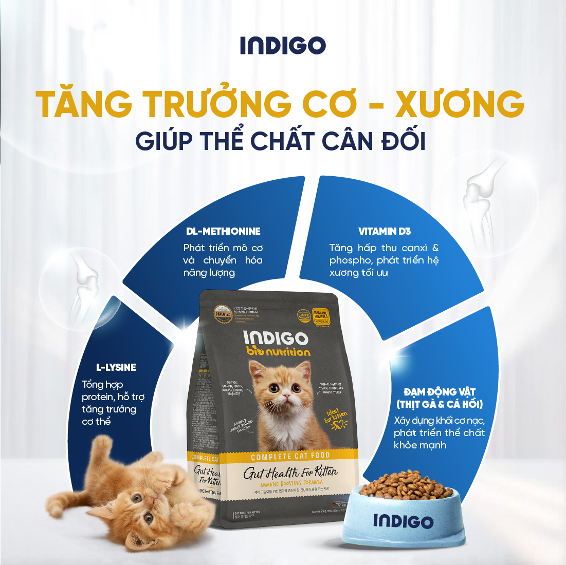 Thức ăn dinh dưỡng chức năng cho mèo con tăng cường sức khỏe tiêu hóa