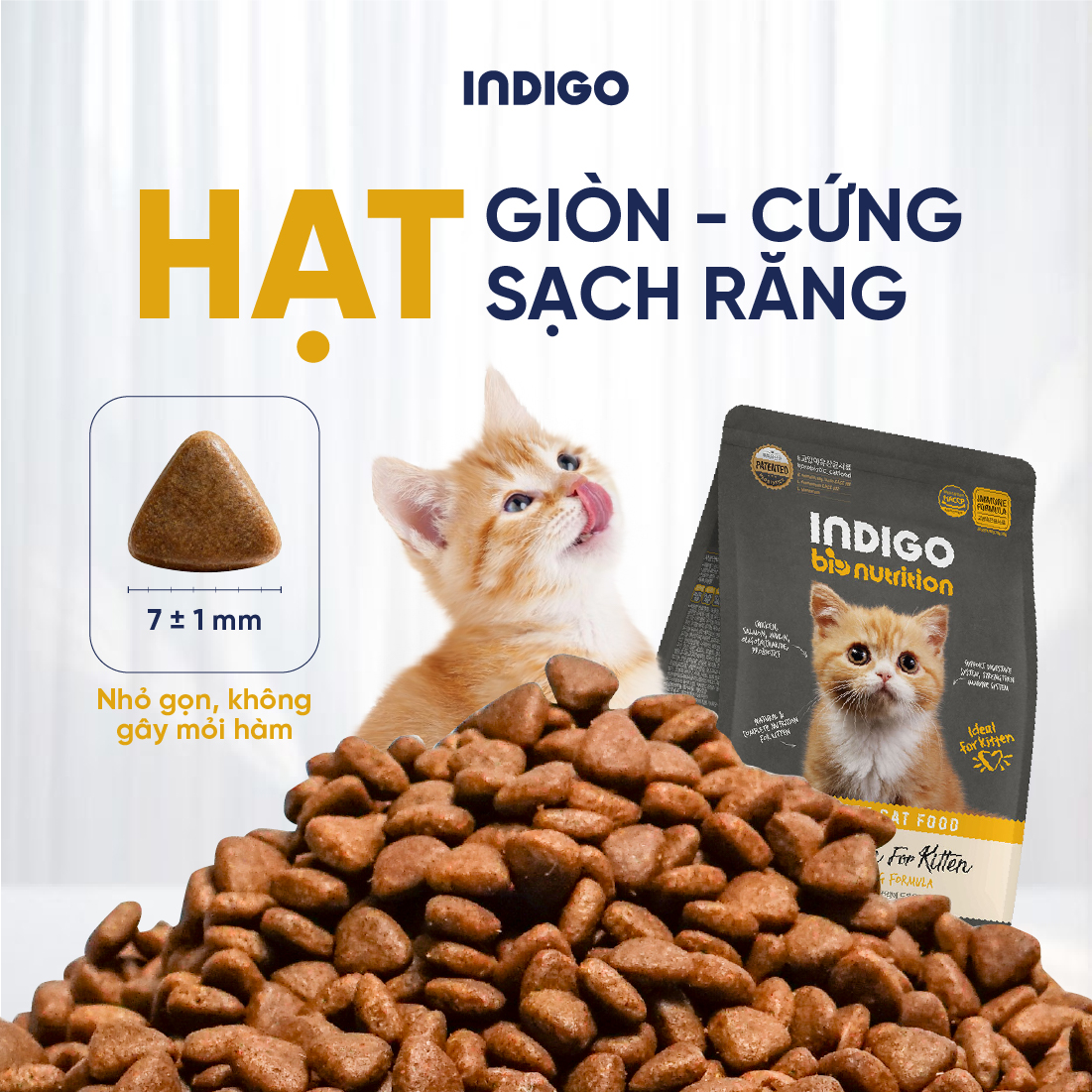 Thức ăn dinh dưỡng chức năng cho mèo con tăng cường sức khỏe tiêu hóa