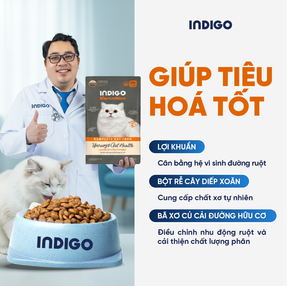 Thức ăn dinh dưỡng chức năng cho mèo tăng cường sức khỏe tiết niệu và tiêu hóa