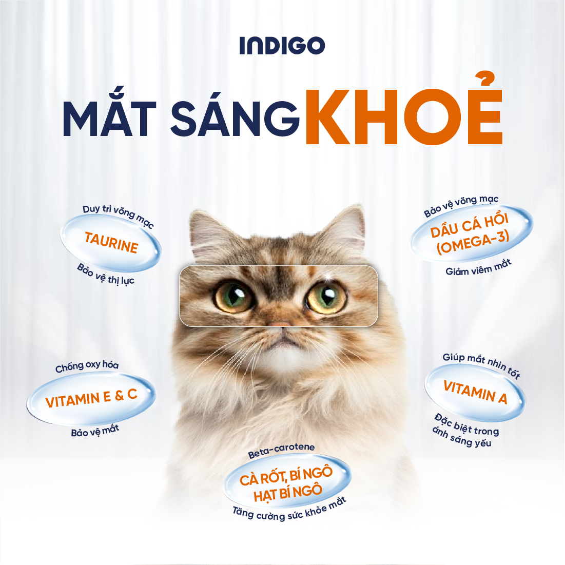 Thức ăn dinh dưỡng chức năng cho mèo tăng cường sức khỏe tiết niệu và tiêu hóa