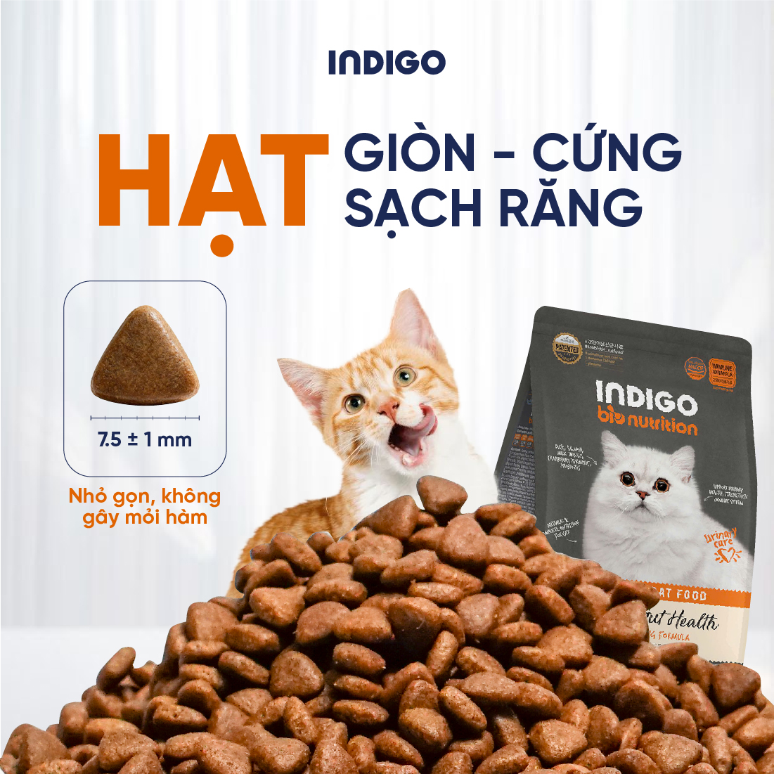 Thức ăn dinh dưỡng chức năng cho mèo tăng cường sức khỏe tiết niệu và tiêu hóa