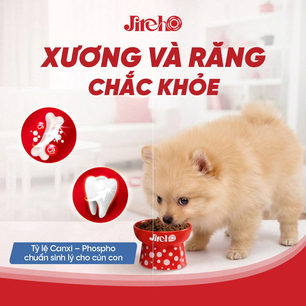 Thức ăn JirehO Cá hồi cho chó con
