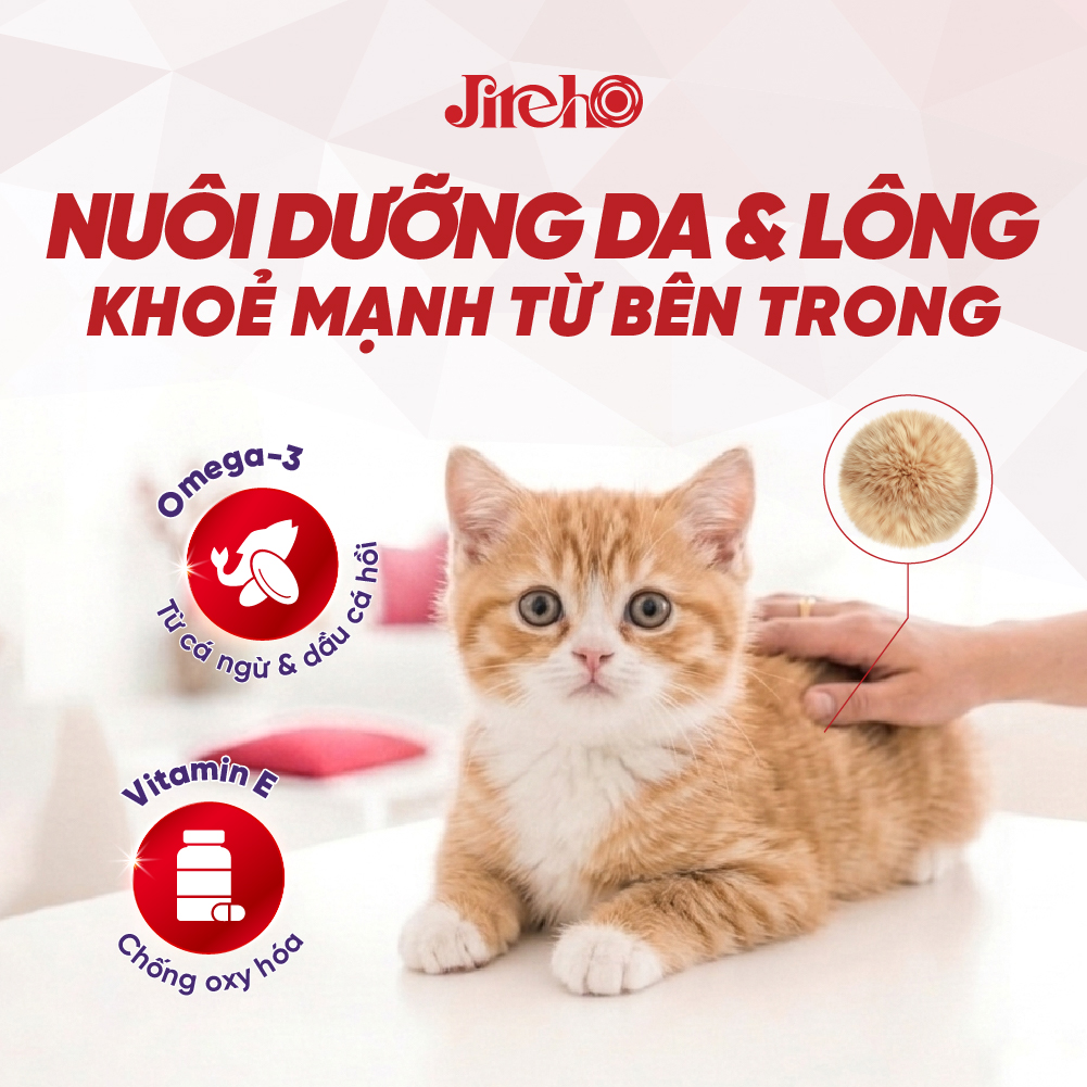 Thức ăn JirehO Cá ngừ cho mèo con