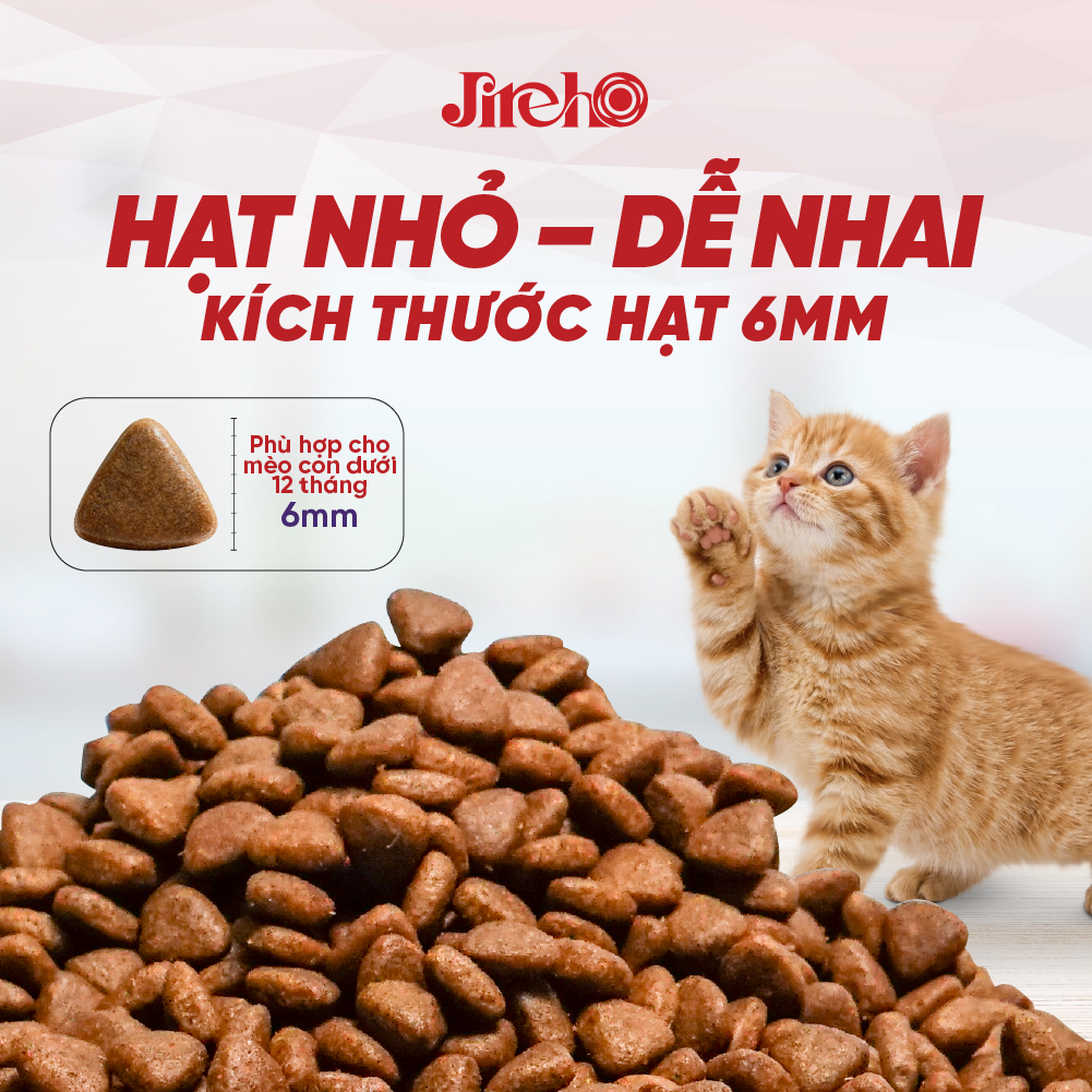 Thức ăn JirehO Cá ngừ cho mèo con