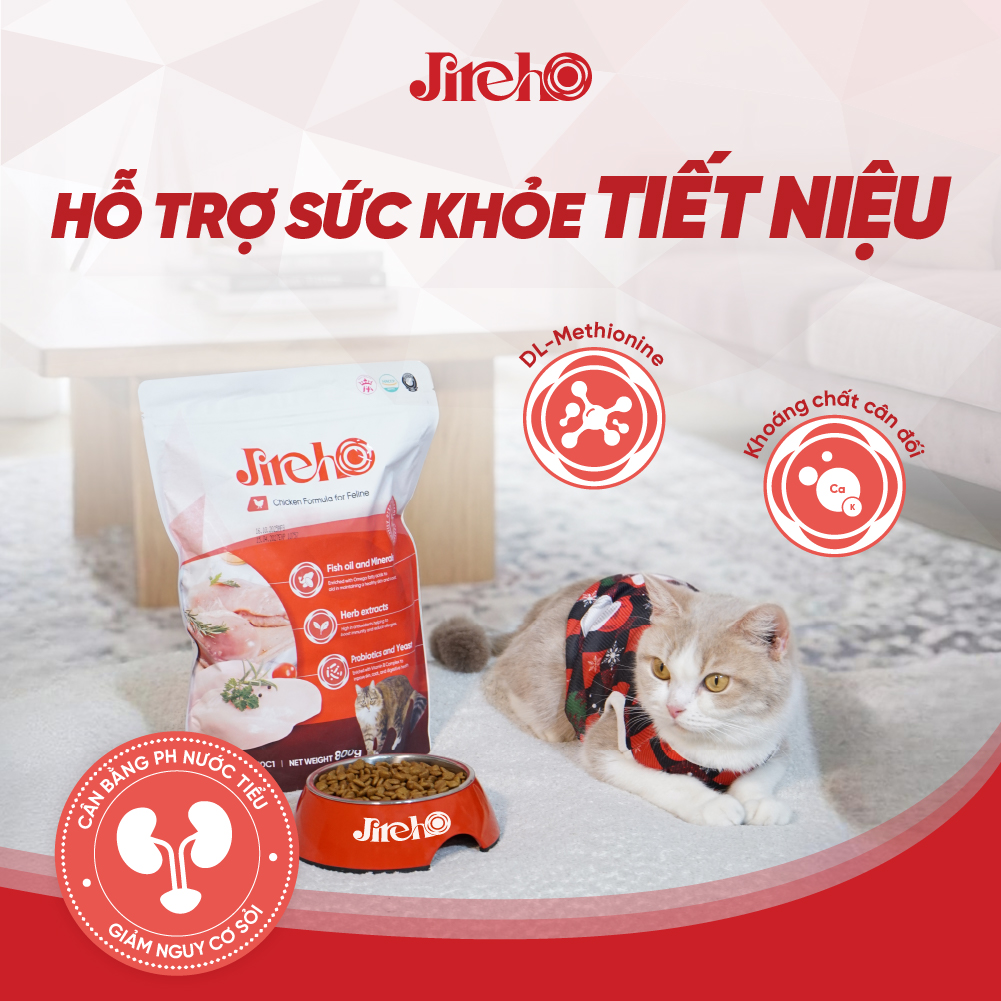 Thức ăn JirehO Thịt gà cho mèo