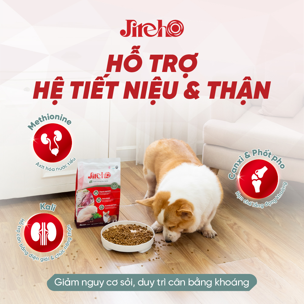 Thức ăn JirehO Thịt vịt cho chó