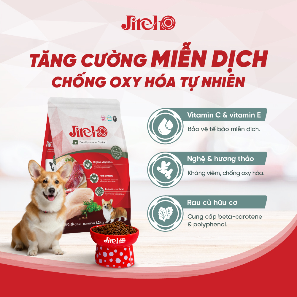 Thức ăn JirehO Thịt vịt cho chó