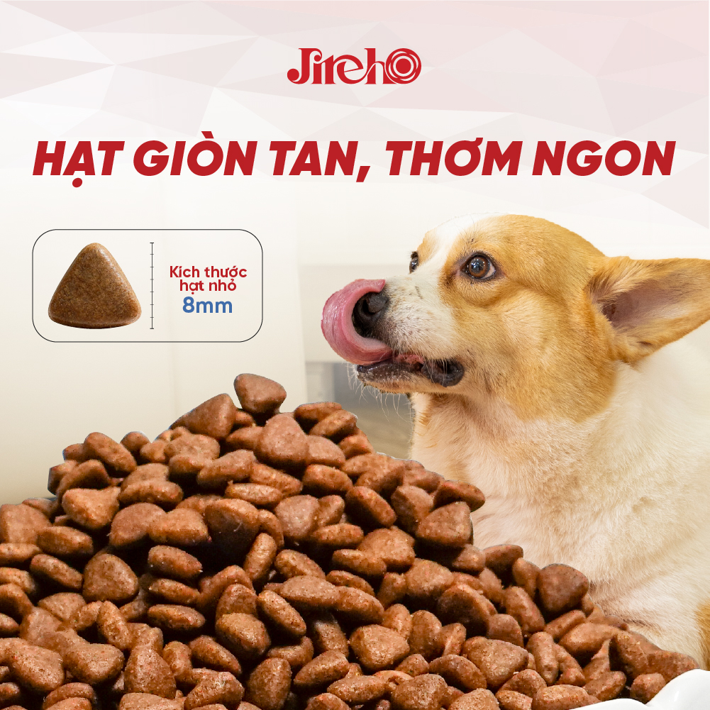 Thức ăn JirehO Thịt vịt cho chó