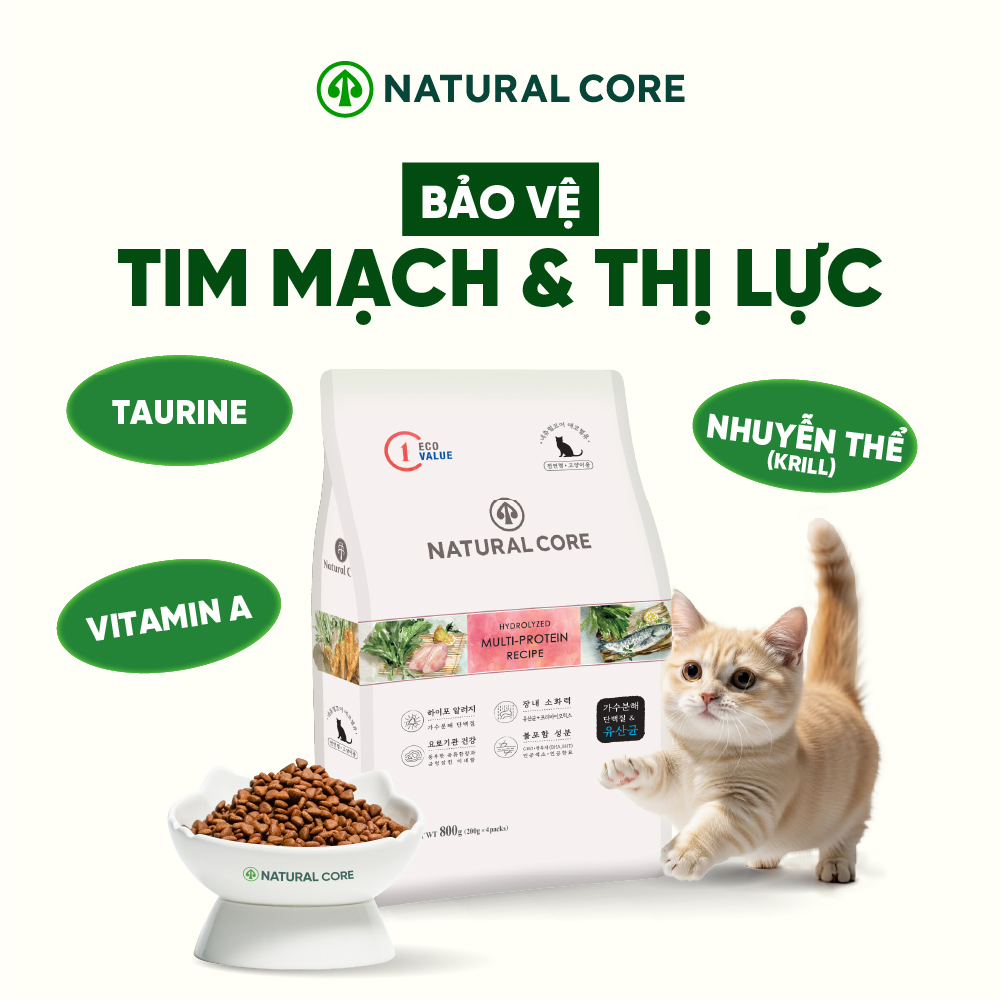 Thức ăn đa đạm cho mèo ECO C1