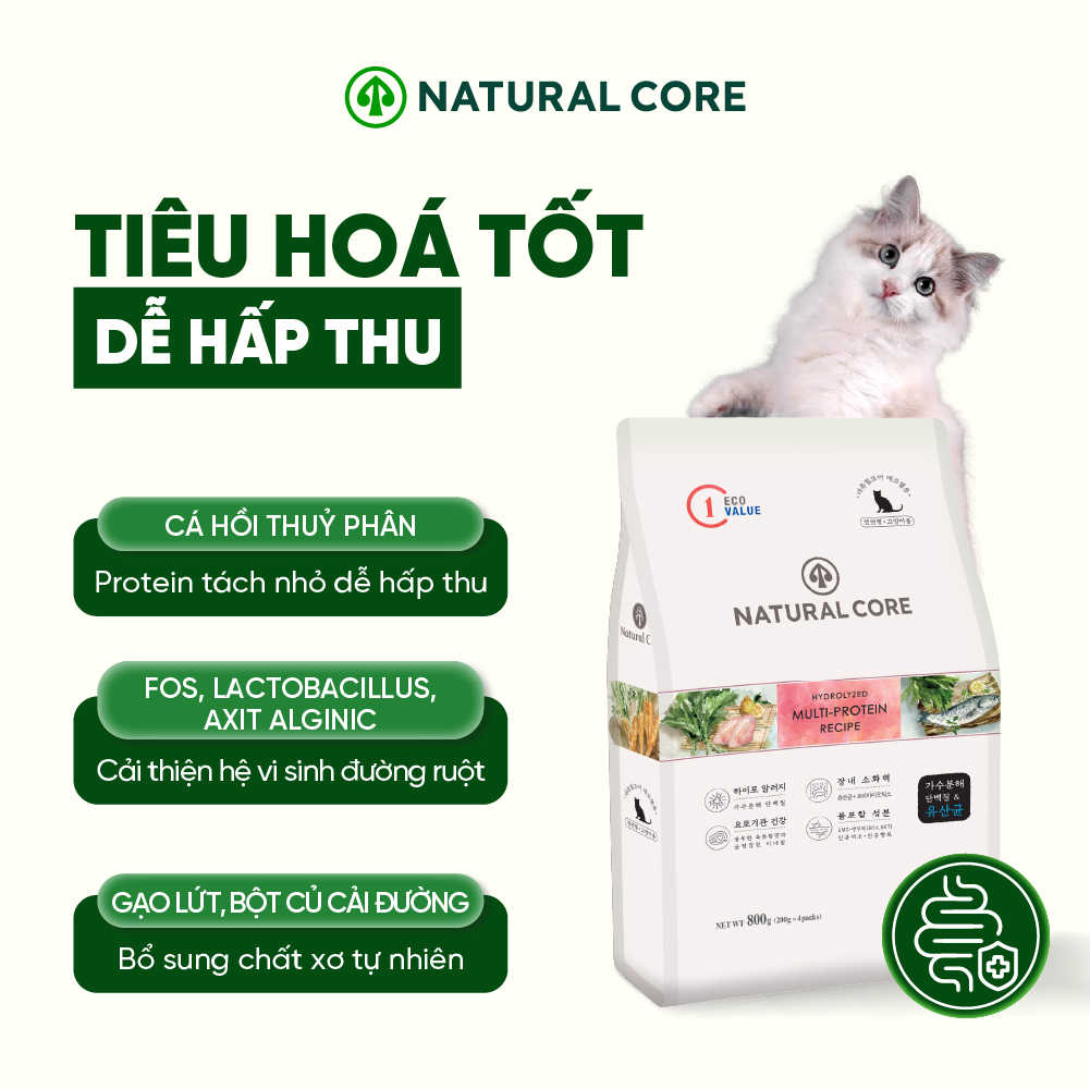 Thức ăn đa đạm cho mèo ECO C1