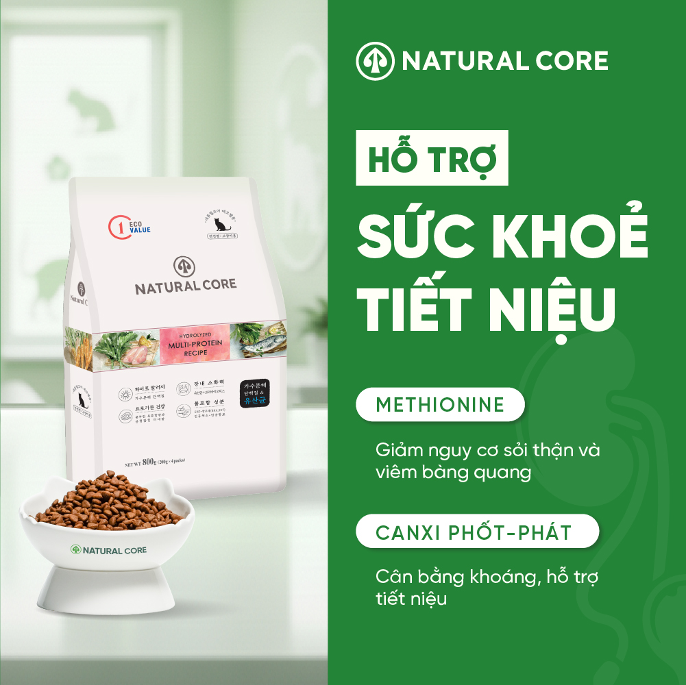 Thức ăn đa đạm cho mèo ECO C1