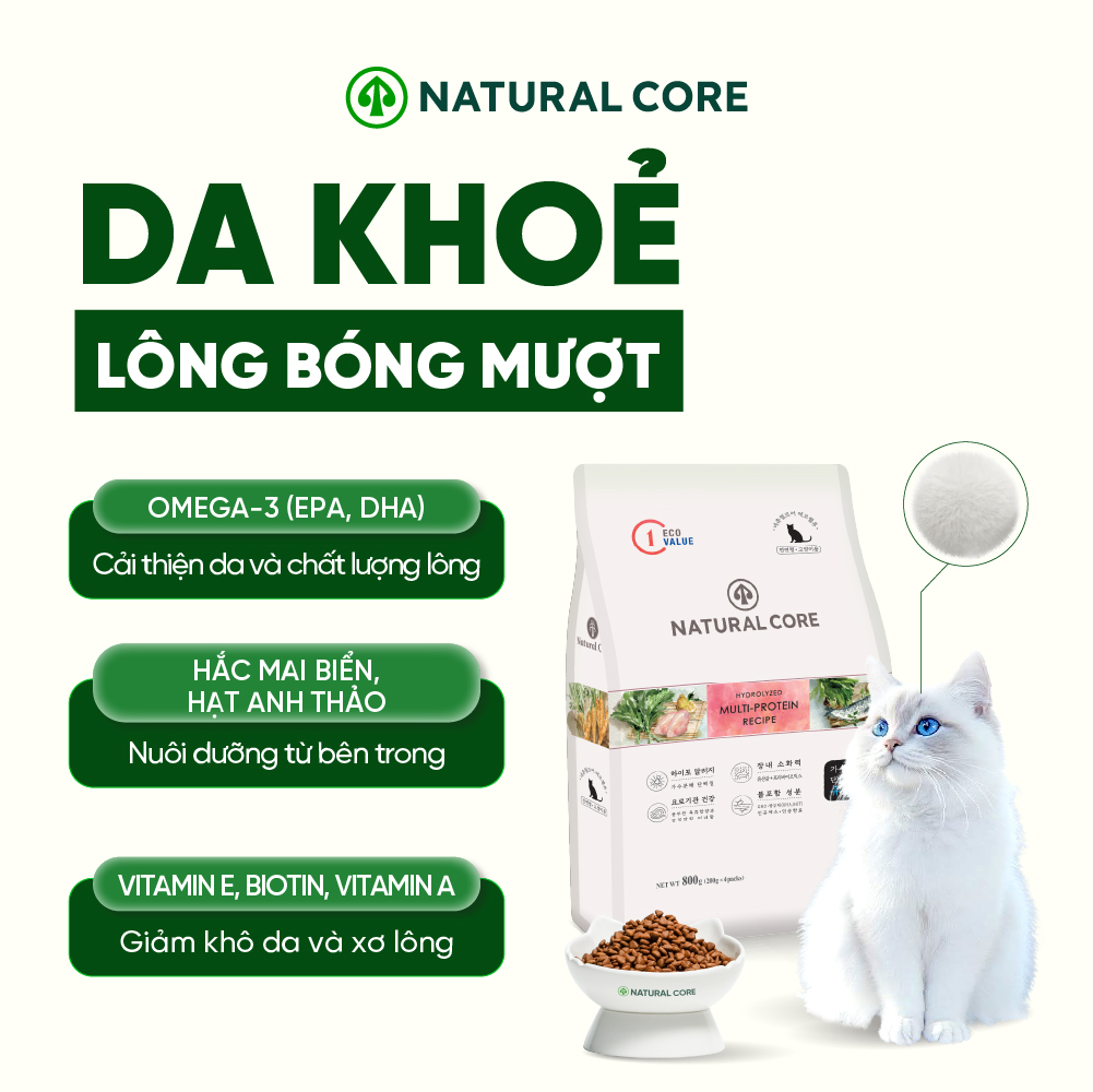 Thức ăn đa đạm cho mèo ECO C1