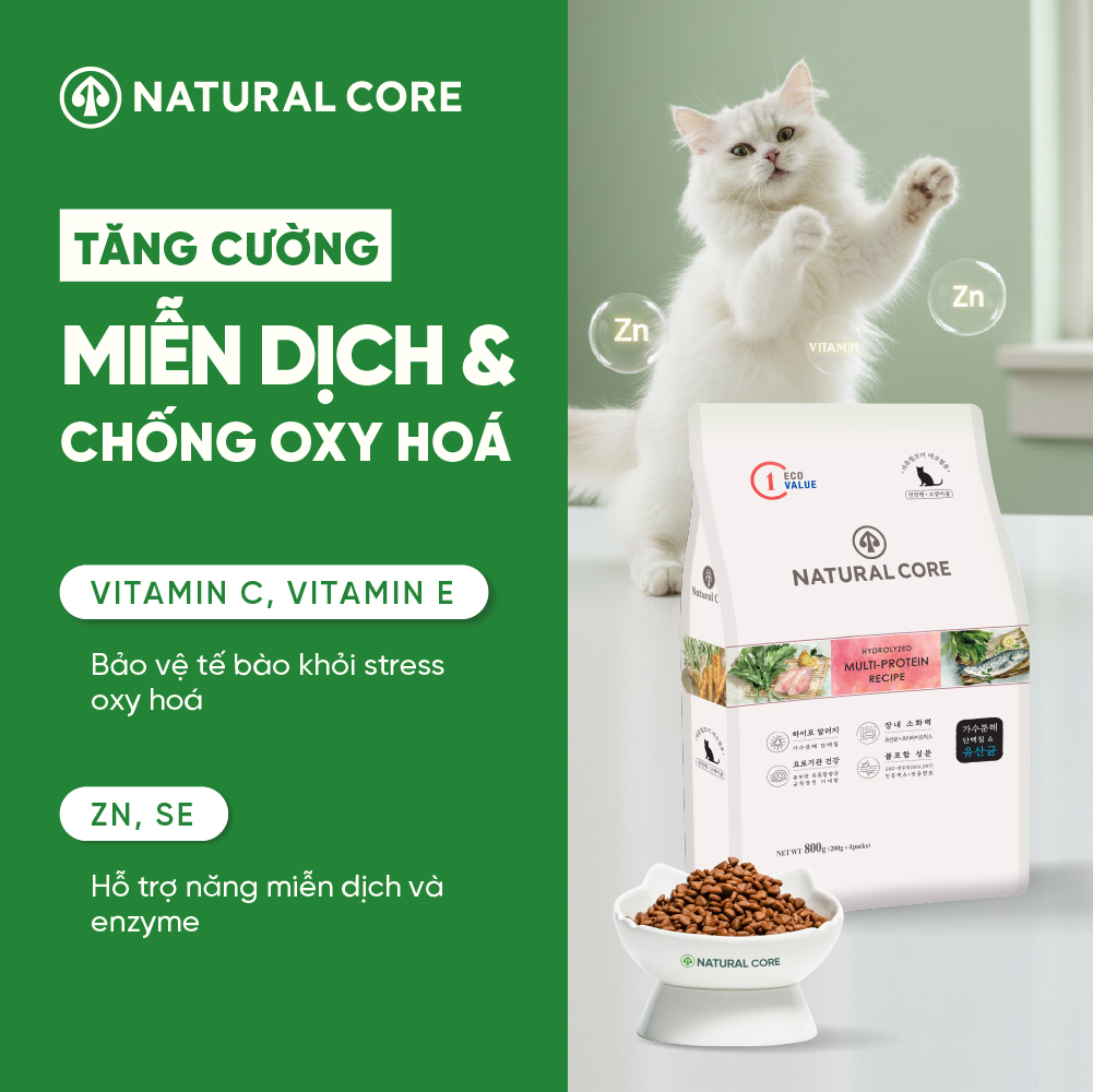 Thức ăn đa đạm cho mèo ECO C1