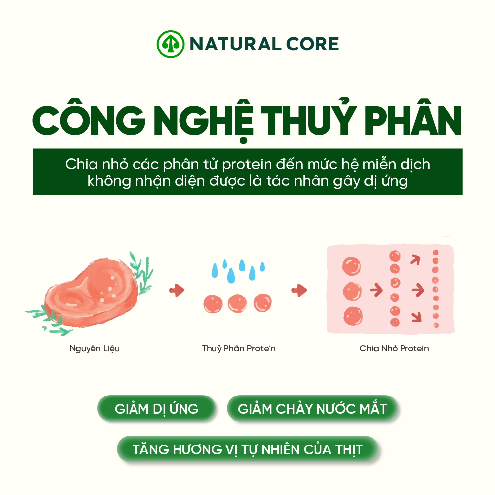 Thức ăn đa đạm cho mèo ECO C1