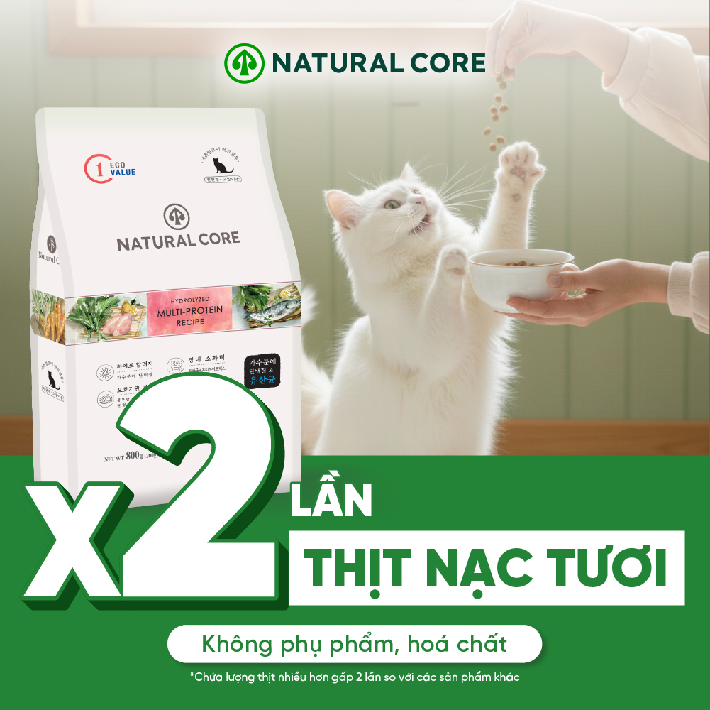 Thức ăn đa đạm cho mèo ECO C1
