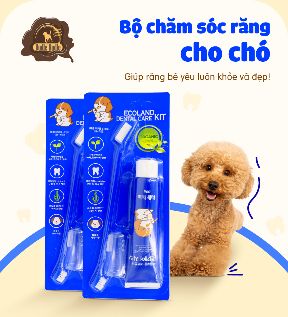 Bộ chăm sóc răng cho chó Budle'Budle
