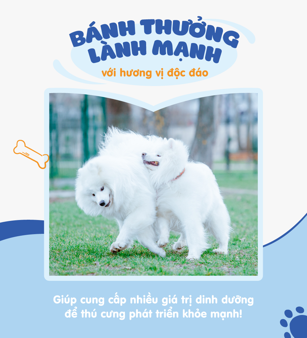 Gà hấp cá tuyết