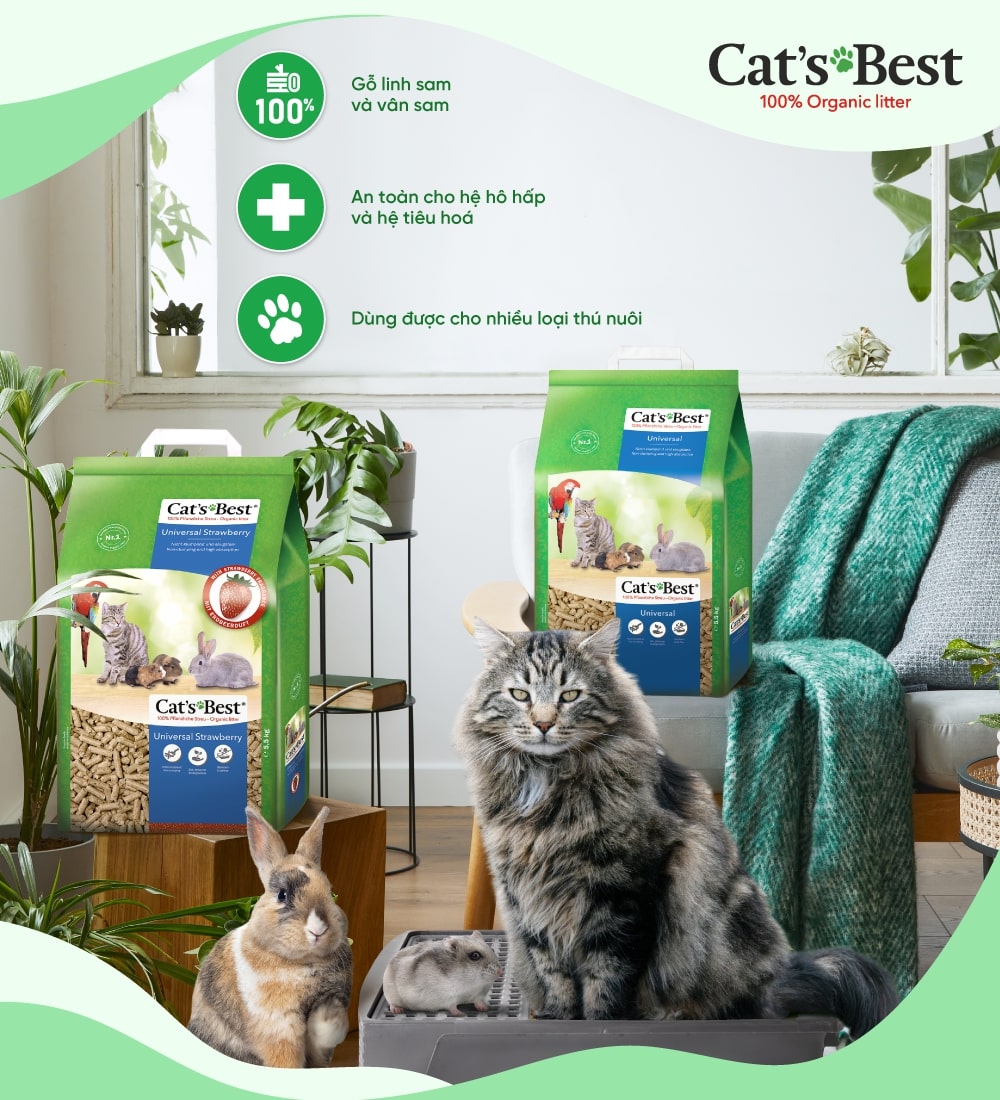 Cát vệ sinh cho thú cưng Cat's Best Universal